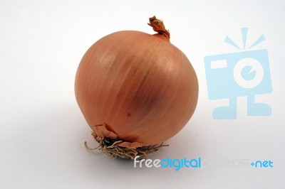 Onion Stock Photo