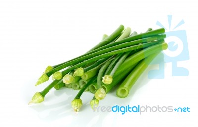 Onion Flowers Isolated On White Background Stock Photo