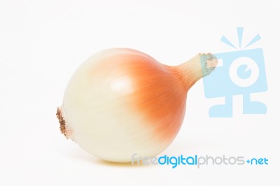 Onion Isolated On A White Background Stock Photo