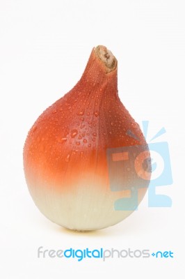 Onion Isolated On A White Background Stock Photo