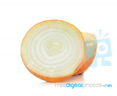 Onion Isolated On The White Background Stock Photo