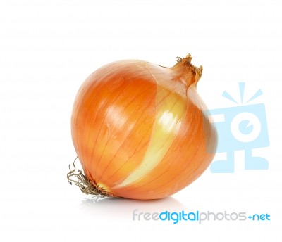 Onion Isolated On The White Background Stock Photo