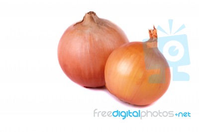 Onion On White Stock Photo