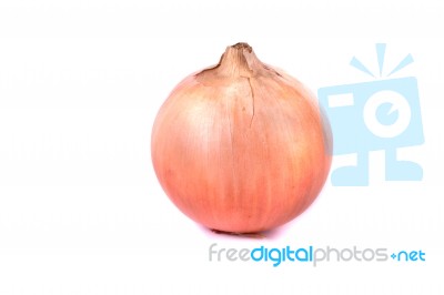 Onion On White Stock Photo