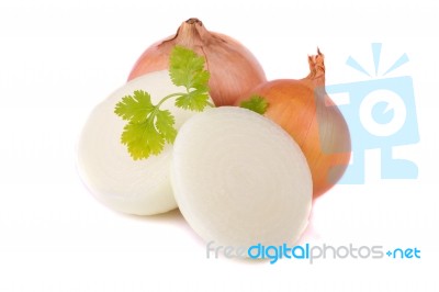 Onion On White Stock Photo