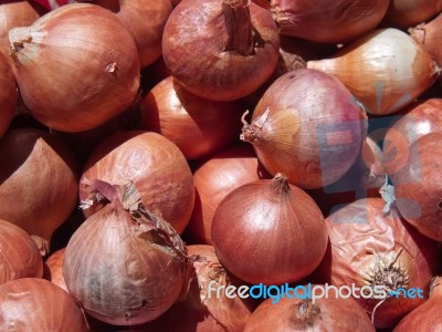 Onions Stock Photo