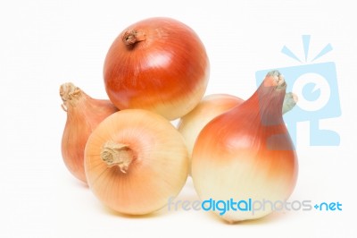 Onions Isolated On A White Background Stock Photo