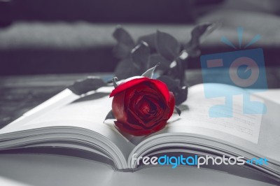 Open Book And A Red Rose. Vintage Tone Stock Photo