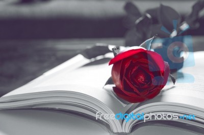 Open Book And A Red Rose. Vintage Tone Stock Photo