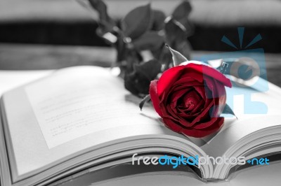 Open Book And A Red Rose. Vintage Tone Stock Photo