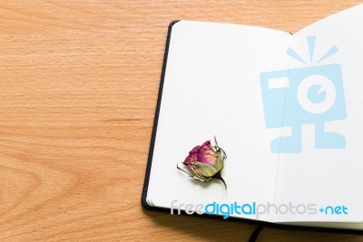 Open Notebook With Dry Rose On Wooden Table With Copy Space Stock Photo