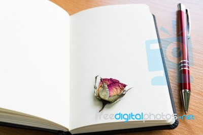 Open Notebook With Dry Rose On Wooden Table With Copy Space Stock Photo