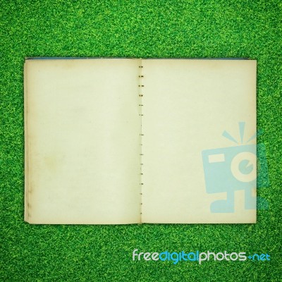 Opened Old Book On Green Grass Stock Photo