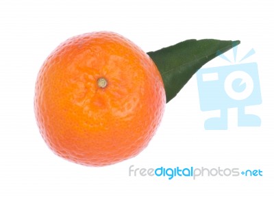 Orange Stock Photo