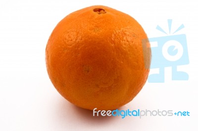 Orange Stock Photo