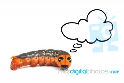 Orange Caterpillar Thinking Isolated On White Background Stock Photo