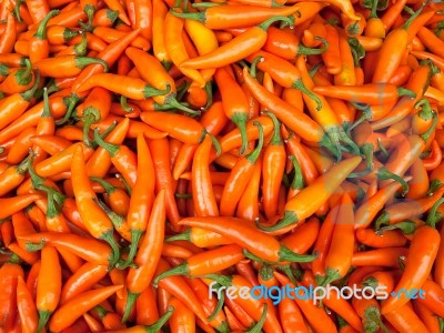 Orange Chilli Stock Photo