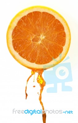 Orange Fruits Stock Image