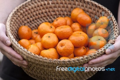 Orange In Basket Stock Photo