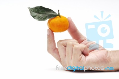 Orange In Hand Stock Photo