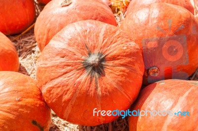 Orange Pumpkins On Straw Stock Photo