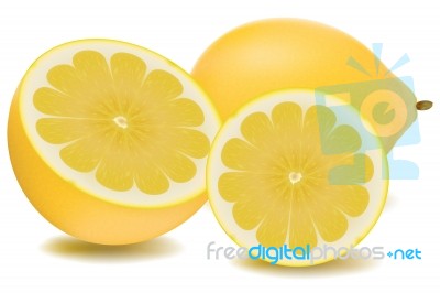 Orange Slice Stock Image