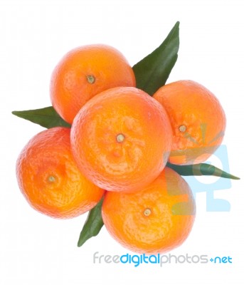 Oranges Stock Photo