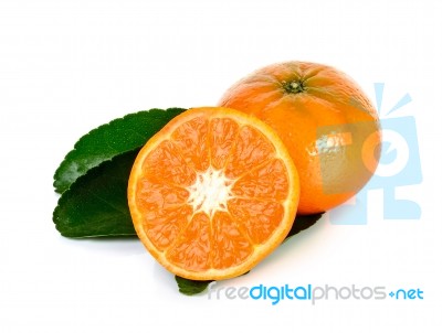 Oranges Fruit Isolated On A White Background Stock Photo