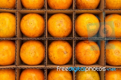 Oranges In Cardboard Box Stock Photo