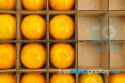 Oranges In Paper Box Stock Photo