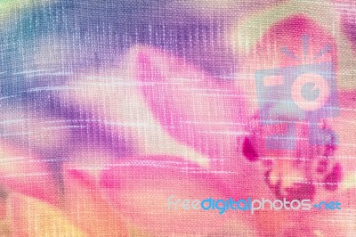 Orchid Flower On Fabric Texture Background Stock Photo