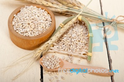 Organic Barley Grains Stock Photo