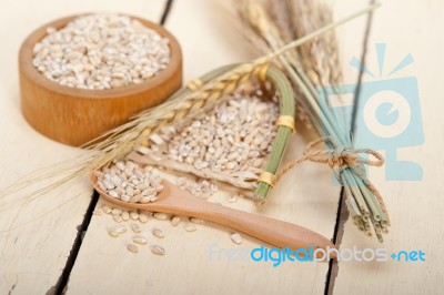 Organic Barley Grains Stock Photo