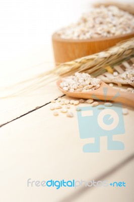 Organic Barley Grains Stock Photo