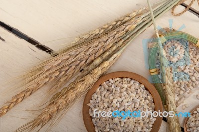 Organic Barley Grains Stock Photo