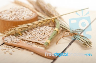 Organic Barley Grains Stock Photo