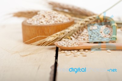 Organic Barley Grains Stock Photo