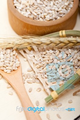 Organic Barley Grains Stock Photo