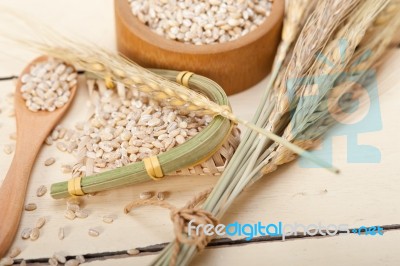 Organic Barley Grains Stock Photo