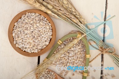 Organic Barley Grains Stock Photo