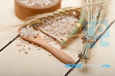 Organic Barley Grains Stock Photo