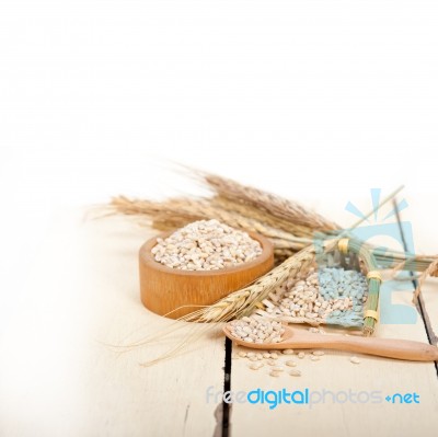 Organic Barley Grains Stock Photo