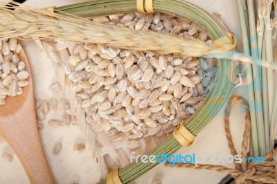 Organic Barley Grains Stock Photo