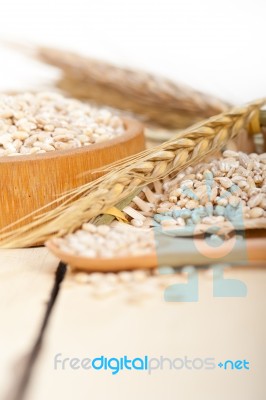 Organic Barley Grains Stock Photo