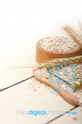 Organic Barley Grains Stock Photo