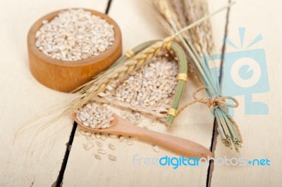 Organic Barley Grains Stock Photo