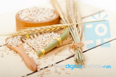 Organic Barley Grains Stock Photo