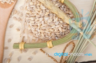 Organic Barley Grains Stock Photo