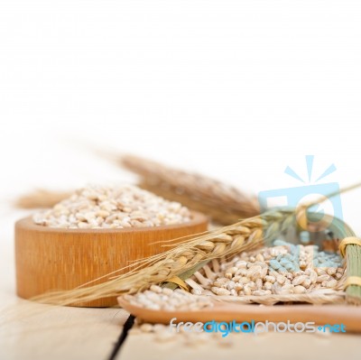 Organic Barley Grains Stock Photo