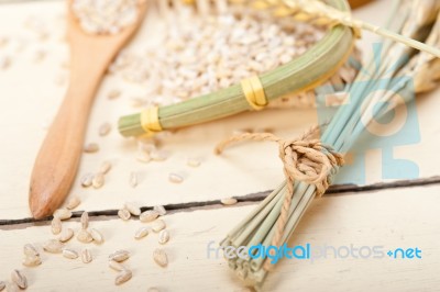 Organic Barley Grains Stock Photo